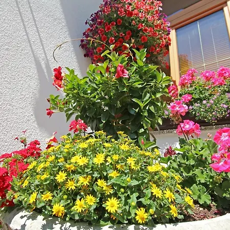 Gaesteheim Anni Winkler Nauders