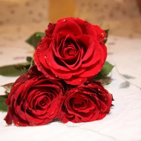 Gaesteheim Anni Winkler Panzió Nauders